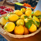Amalfi 🍋 Zitronen Special Bundle