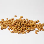 Pistazien gewürzt 250g
