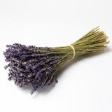 Weihnachtsgeschenk Jorgos