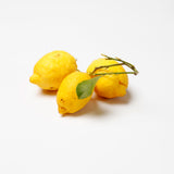 Amalfi 🍋 Zitronen Special Bundle